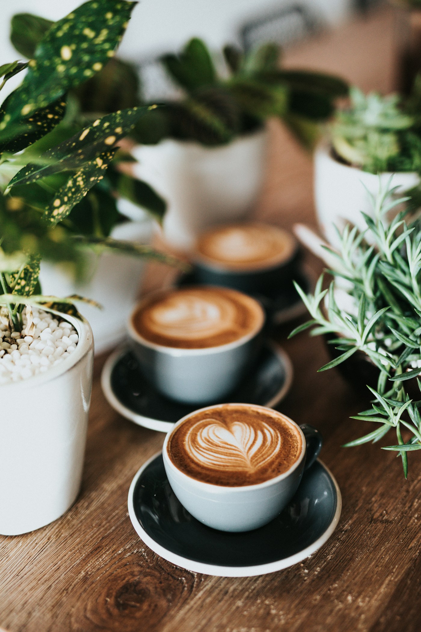 Coffee cups on a table